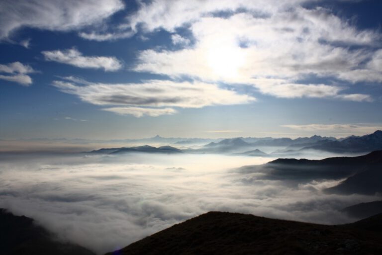 Dein Herz ist nur eine Pumpstation